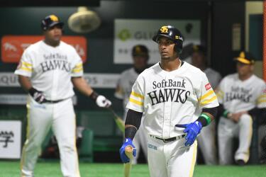 19 Gracial y Despaigne Halcones de Softbank Pelota Cubana USA