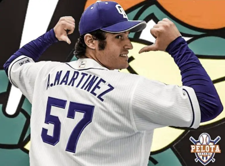 Screenshot 20200703 140211 WordPress Pelota Cubana USA