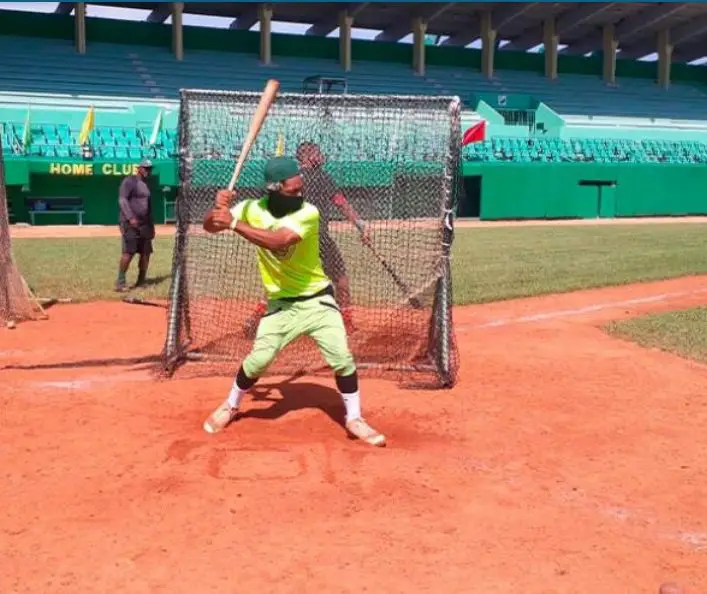 Screenshot 20200907 103434 WordPress Pelota Cubana USA