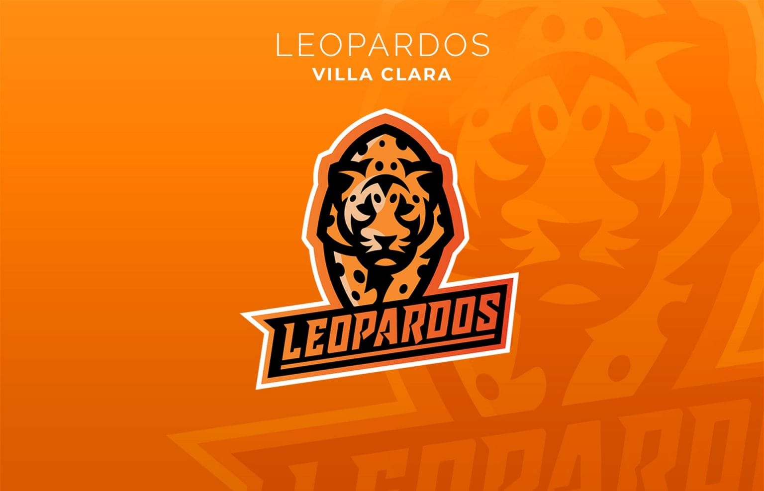 Vila Clara presentation Mockup min 1536x988 min Pelota Cubana USA