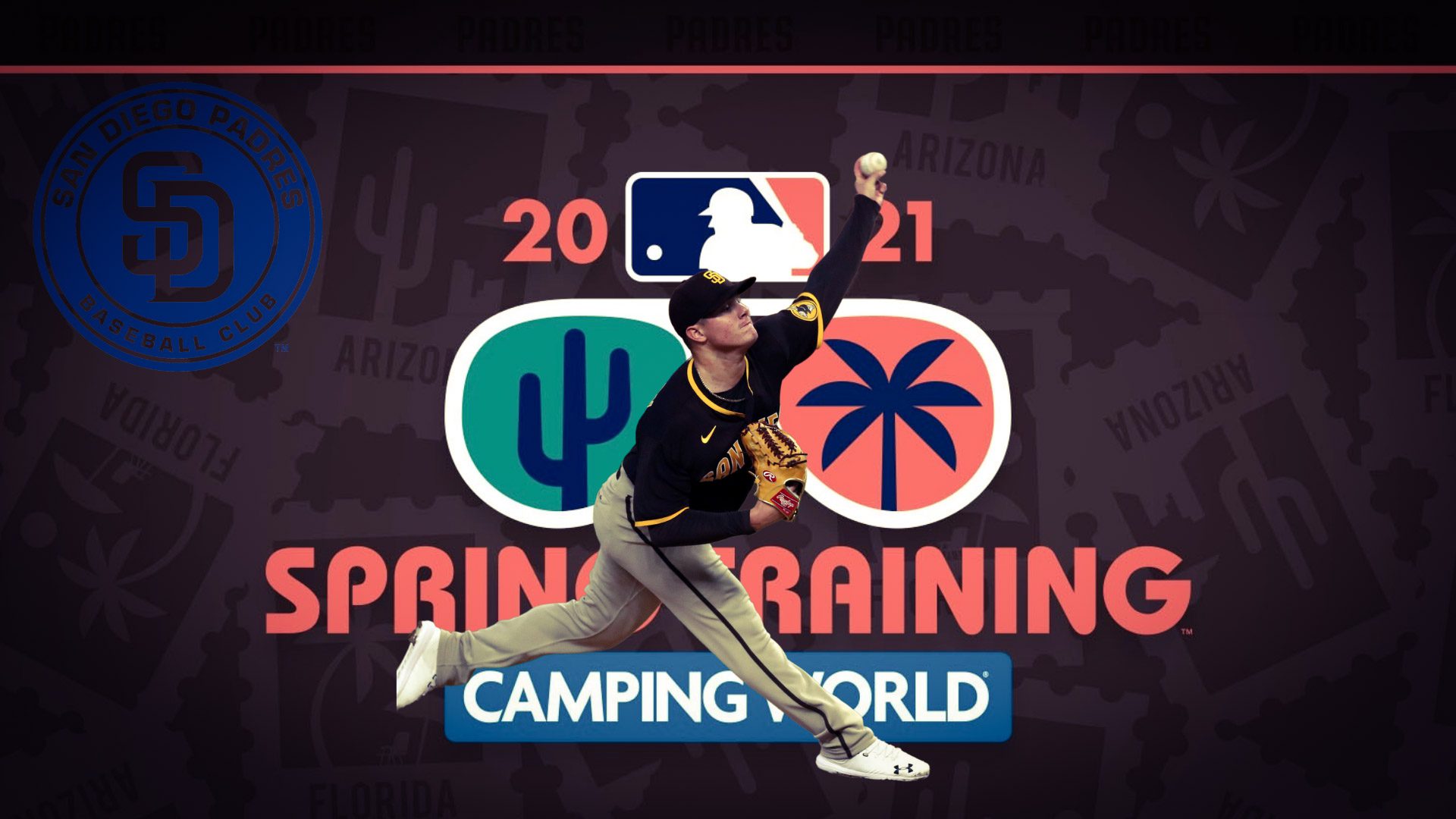 PSX 20210224 132517 Pelota Cubana USA