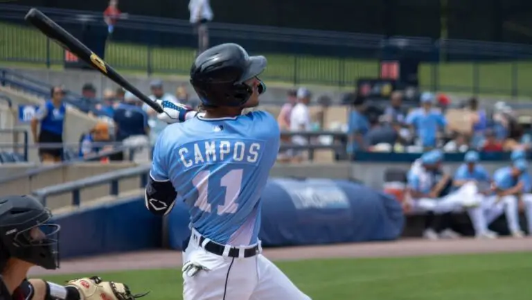 Roberto Campos: Prospecto top-30 de los Tigres de Detroit.